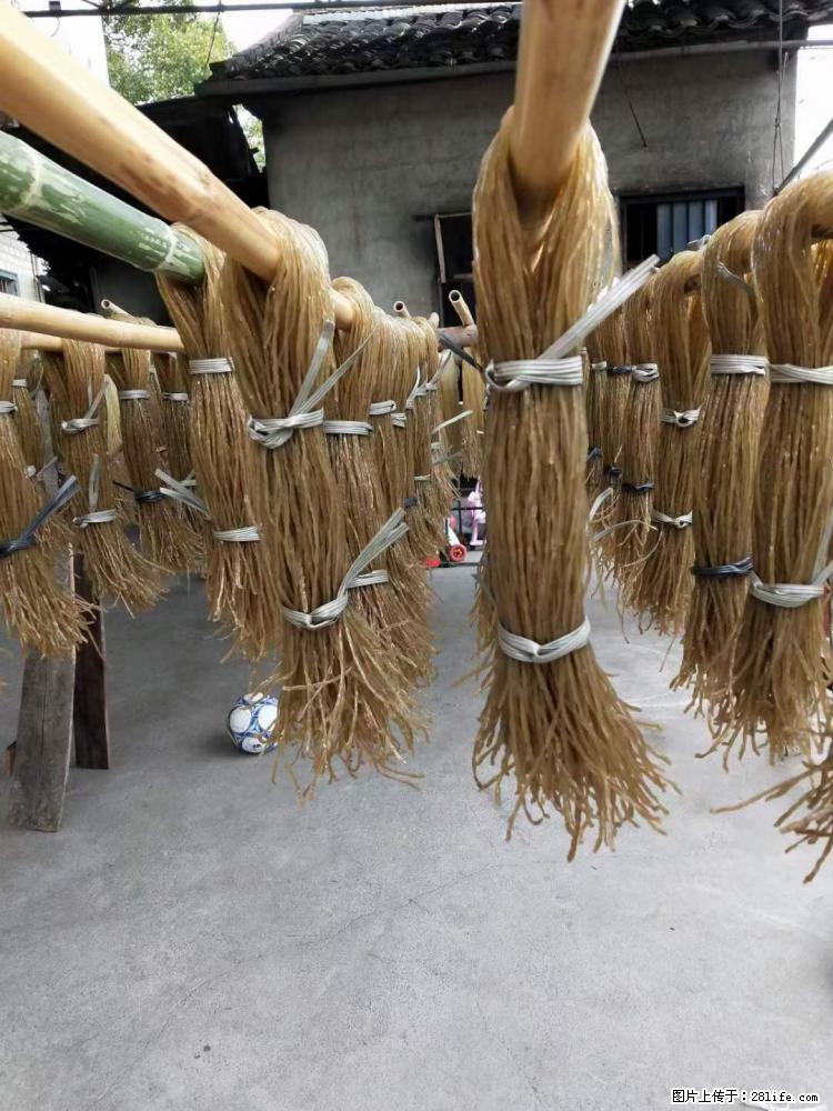 【灌阳正宗红薯粉】美女家里自己做的，干净卫生，假一赔十，价格合理，抢购电话：13737312895 - 美食天地 - 阿坝生活社区 - 阿坝28生活网 ab.28life.net