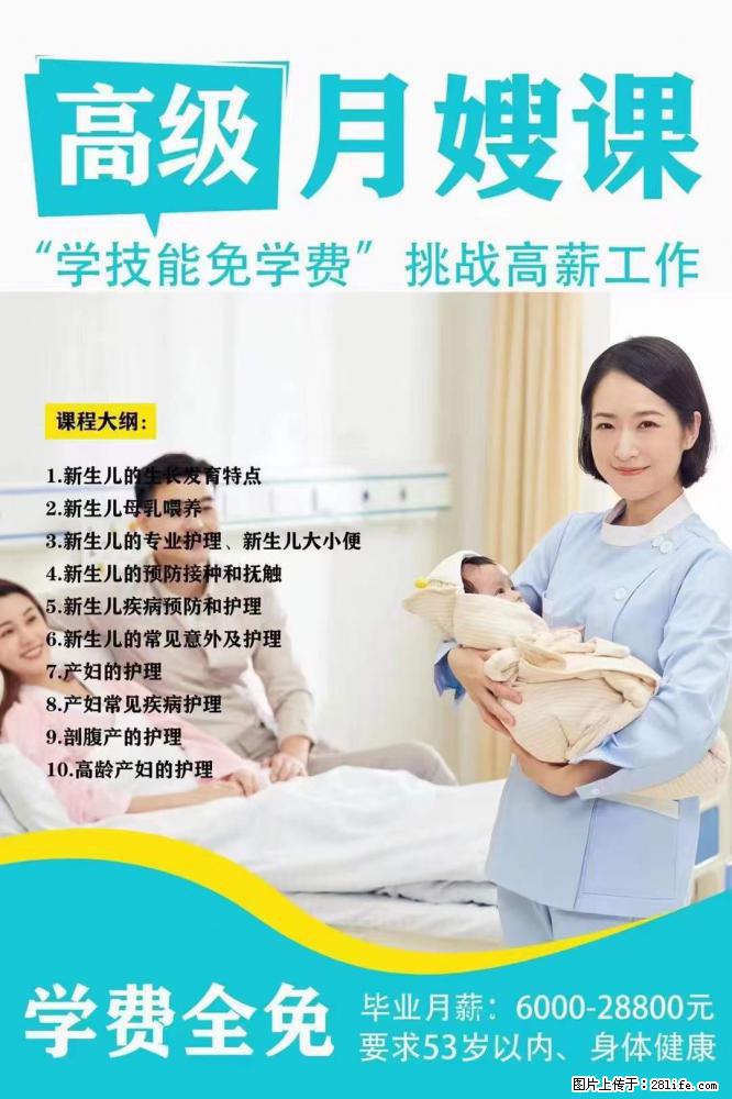 为什么要学习月嫂，育婴师？ - 其他广告 - 广告专区 - 阿坝分类信息 - 阿坝28生活网 ab.28life.net