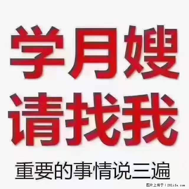 为什么要学习月嫂，育婴师？ - 新手上路 - 阿坝生活社区 - 阿坝28生活网 ab.28life.net