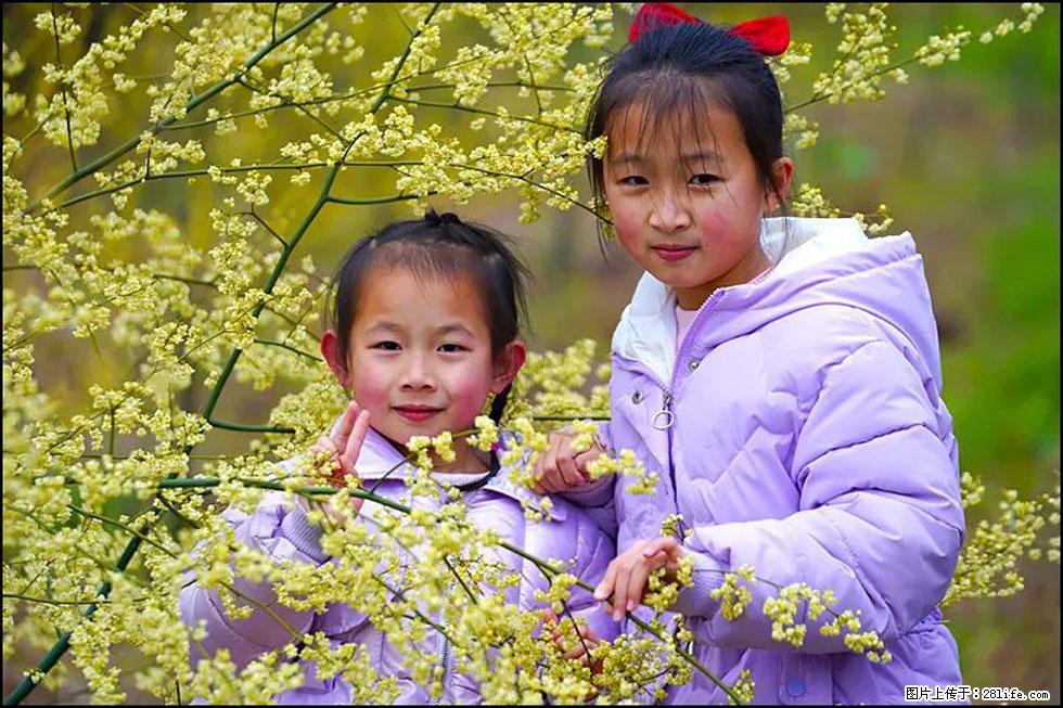 【春天，广西桂林灌阳县向您发出邀请！】米珠山前有片山苍子花在飘香 - 游山玩水 - 阿坝生活社区 - 阿坝28生活网 ab.28life.net