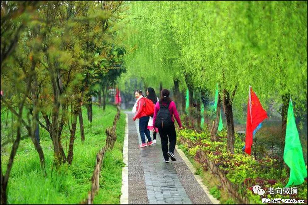 【春天，广西桂林灌阳县向您发出邀请！】江口老街又逢春 - 游山玩水 - 阿坝生活社区 - 阿坝28生活网 ab.28life.net