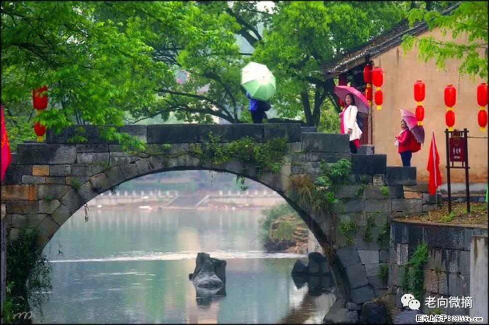 【春天，广西桂林灌阳县向您发出邀请！】江口老街又逢春 - 游山玩水 - 阿坝生活社区 - 阿坝28生活网 ab.28life.net