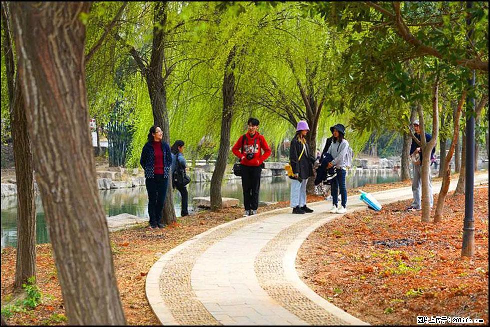 【春天，广西桂林灌阳县向您发出邀请！】江口老街又逢春 - 游山玩水 - 阿坝生活社区 - 阿坝28生活网 ab.28life.net