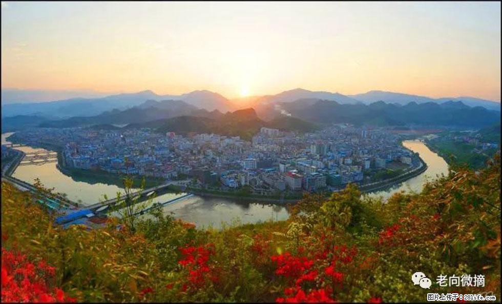 【春天，广西桂林灌阳县向您发出邀请！】登麒麟山，相约映山红 - 游山玩水 - 阿坝生活社区 - 阿坝28生活网 ab.28life.net