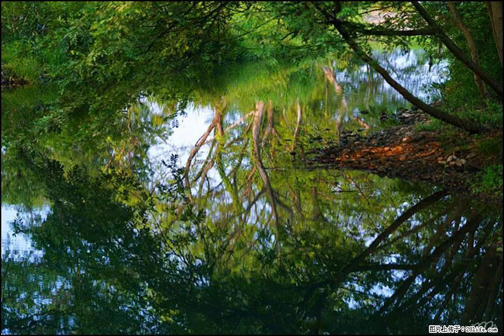 【春天，广西桂林灌阳县向您发出邀请！】熊家寨湿地公园 - 游山玩水 - 阿坝生活社区 - 阿坝28生活网 ab.28life.net