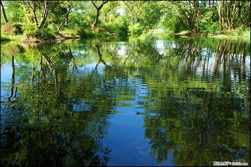 【春天，广西桂林灌阳县向您发出邀请！】熊家寨湿地公园 - 游山玩水 - 阿坝生活社区 - 阿坝28生活网 ab.28life.net