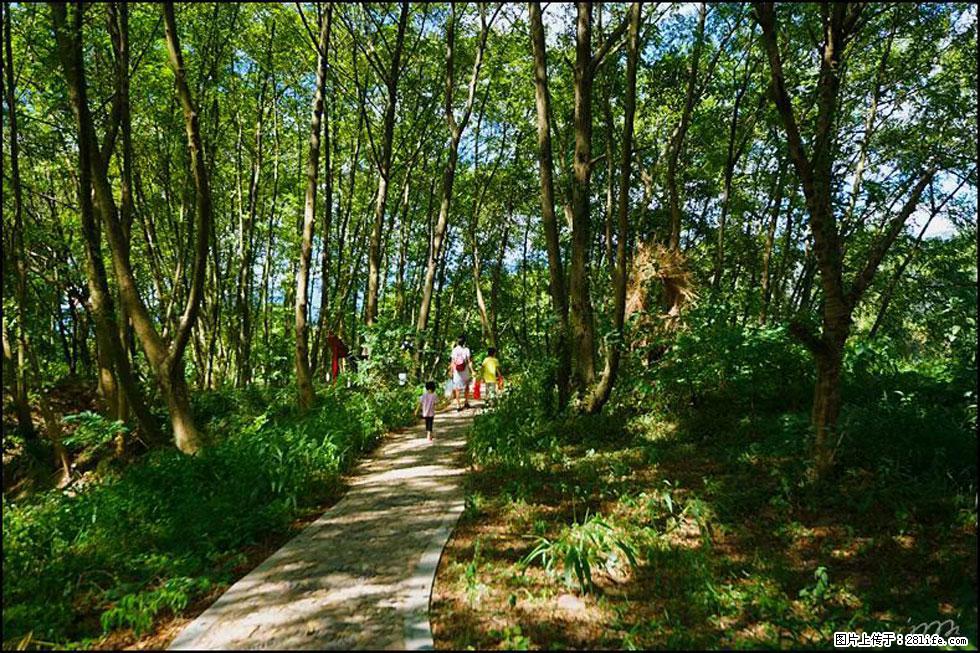 【春天，广西桂林灌阳县向您发出邀请！】熊家寨湿地公园 - 游山玩水 - 阿坝生活社区 - 阿坝28生活网 ab.28life.net