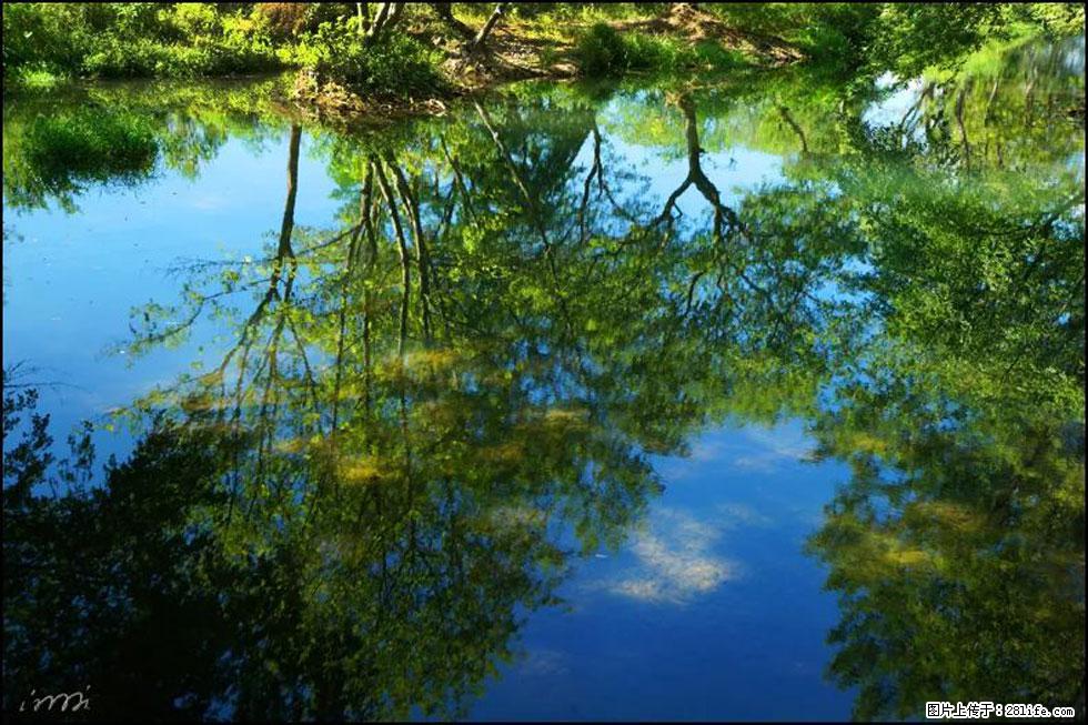 【春天，广西桂林灌阳县向您发出邀请！】熊家寨湿地公园 - 游山玩水 - 阿坝生活社区 - 阿坝28生活网 ab.28life.net