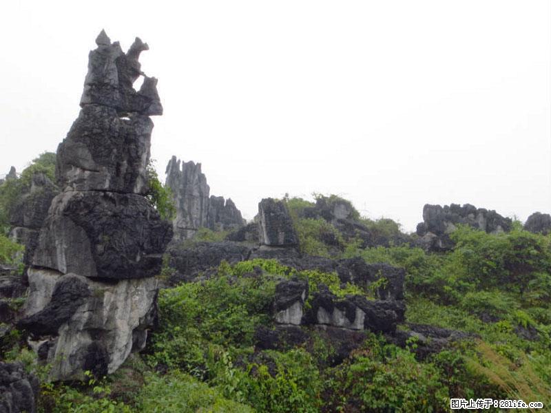 桂林旅游名城景点：灌阳文市石林 - 游山玩水 - 阿坝生活社区 - 阿坝28生活网 ab.28life.net