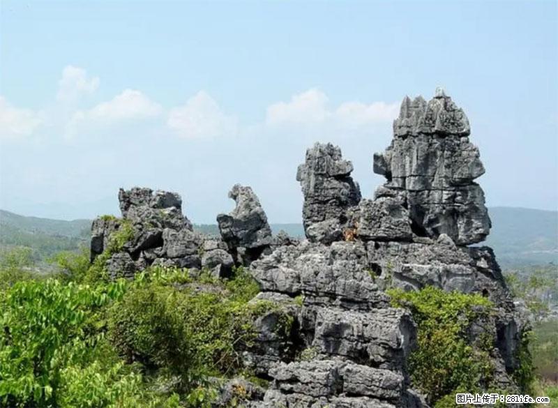桂林旅游名城景点：灌阳文市石林 - 游山玩水 - 阿坝生活社区 - 阿坝28生活网 ab.28life.net