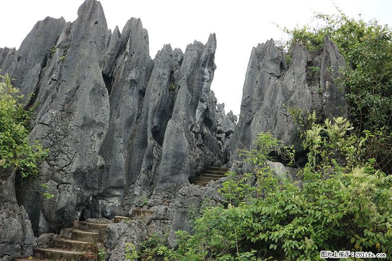 桂林旅游名城景点：灌阳文市石林 - 游山玩水 - 阿坝生活社区 - 阿坝28生活网 ab.28life.net