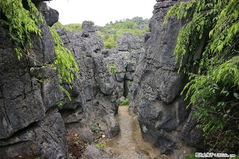 桂林旅游名城景点：灌阳文市石林 - 游山玩水 - 阿坝生活社区 - 阿坝28生活网 ab.28life.net