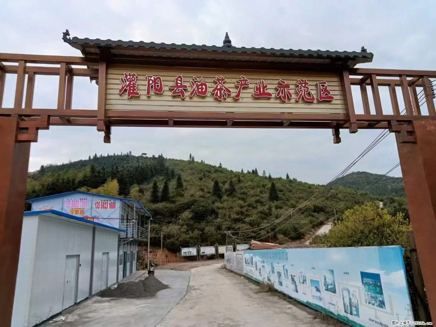 【灌阳县油茶产业示范区】一个有着充实的精神生活的人，对待身外之物自会有一种淡泊的态度 - 土特产 - 饮食特产 - 阿坝分类信息 - 阿坝28生活网 ab.28life.net