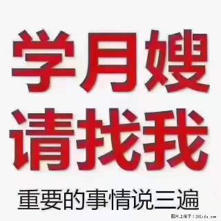 为什么要学习月嫂，育婴师？ - 阿坝28生活网 ab.28life.net