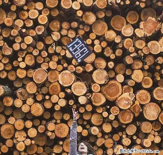 辞掉工作周游世界?现在他们在洗厕所…… - 游山玩水 - 阿坝生活社区 - 阿坝28生活网 ab.28life.net