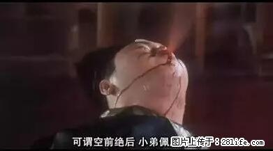 笑癫了！一女的怀孕三年未生，他终于忍不住了... - 娱乐八卦 - 阿坝生活社区 - 阿坝28生活网 ab.28life.net