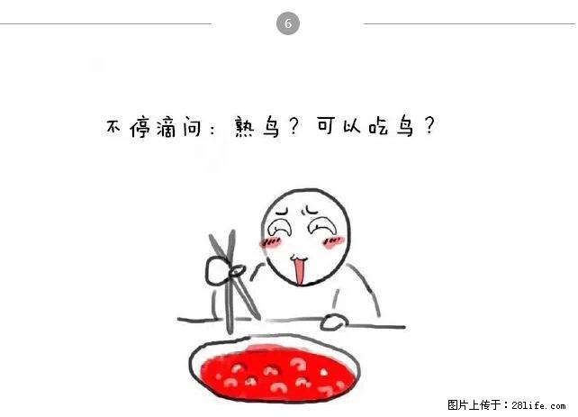 千万不要和这9种哈卵一起吃火锅！ - 美食天地 - 阿坝生活社区 - 阿坝28生活网 ab.28life.net
