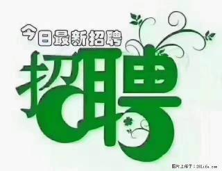 【招聘摄像师】待遇：试用期6000元/月，转正7000元/月+五险一金+餐补+节日福利+奖金 - 阿坝28生活网 ab.28life.net