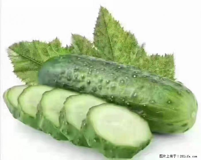【生活小常识】吃黄瓜的好处 - 生活百科 - 阿坝生活社区 - 阿坝28生活网 ab.28life.net