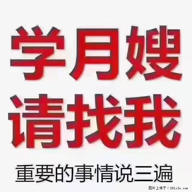 【招聘】月嫂,上海徐汇区 - 职场交流 - 阿坝生活社区 - 阿坝28生活网 ab.28life.net