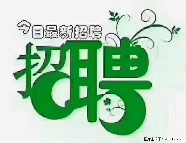 上海隔离酒店招人：55岁以下 男女不限 - 职场交流 - 阿坝生活社区 - 阿坝28生活网 ab.28life.net