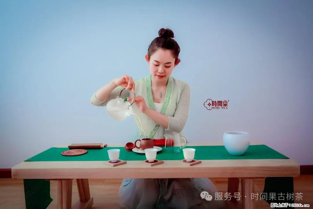 时间果百年古树龙珠普洱生茶 - 购物交流 - 阿坝生活社区 - 阿坝28生活网 ab.28life.net