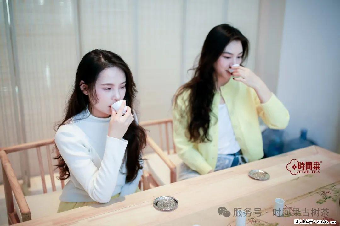 时间果百年古树龙珠普洱生茶 - 购物交流 - 阿坝生活社区 - 阿坝28生活网 ab.28life.net