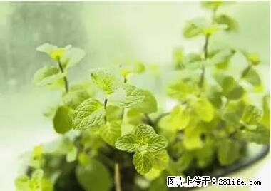 晕车、脚气、牙齿变黄、皮肤粗糙？学会这些三分钟搞定！ - 阿坝生活资讯 - 阿坝28生活网 ab.28life.net
