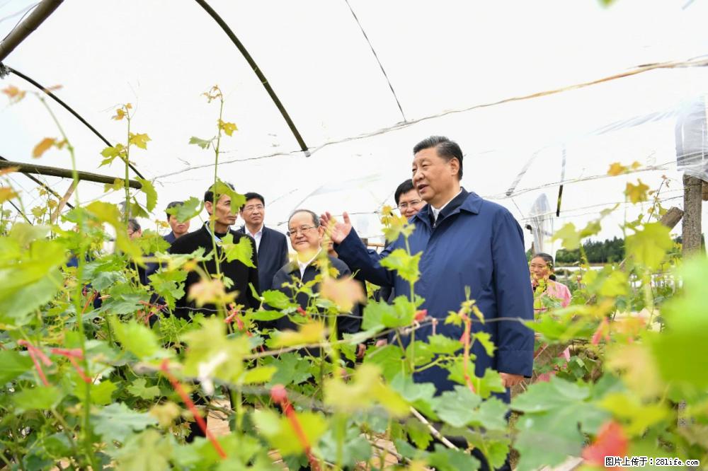 习近平赴广西考察调研 - 阿坝生活资讯 - 阿坝28生活网 ab.28life.net