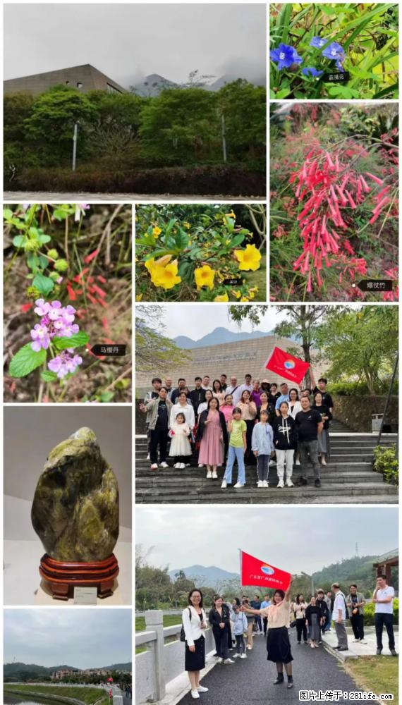 “粤灌文化 美好生活”油茶文化主题活动在广东深圳成功举办 - 阿坝生活资讯 - 阿坝28生活网 ab.28life.net