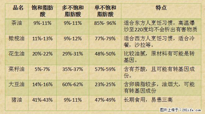 揭秘茶油的5大核心营养成分！被称为人体健康的“守护盾”！ - 阿坝生活资讯 - 阿坝28生活网 ab.28life.net