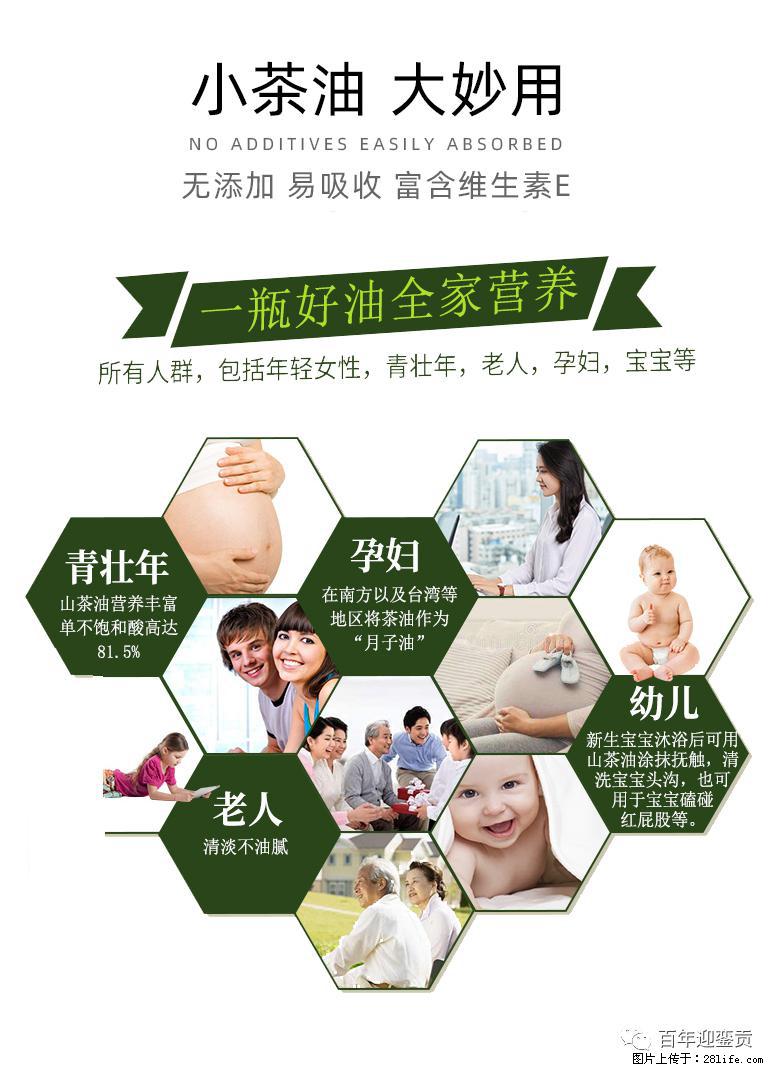 世界没有真相，只有认知，最好的食用油是中国的山茶油！ - 阿坝生活资讯 - 阿坝28生活网 ab.28life.net