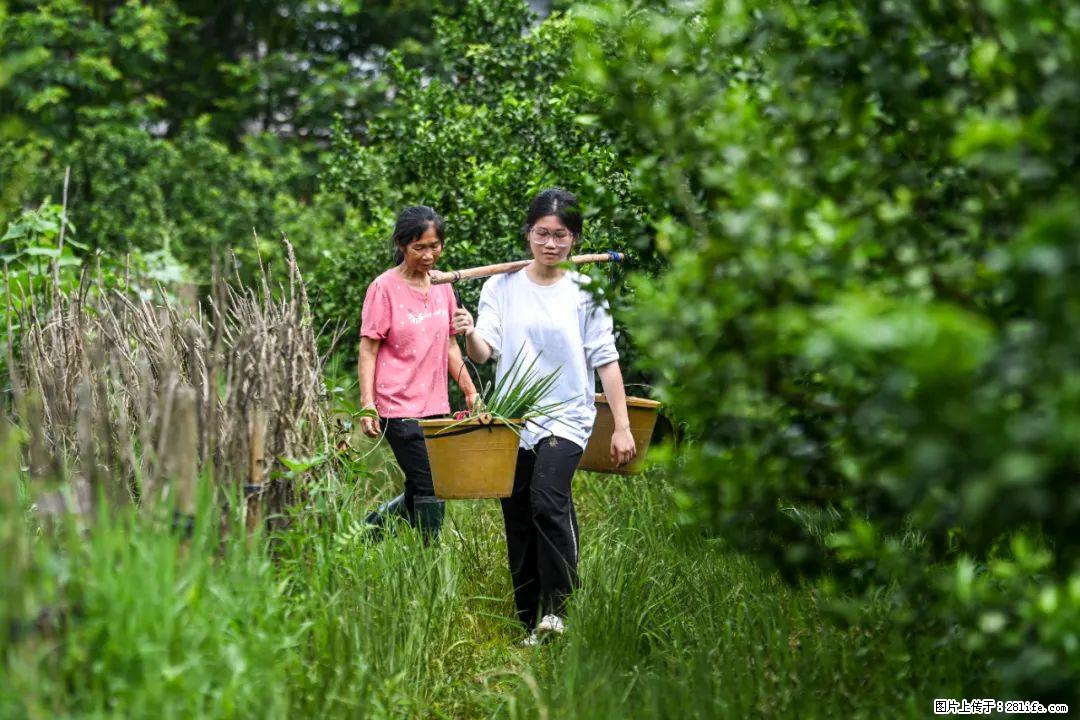 全网追的“扁担女孩”，找了一份暑假工，时薪12元 - 阿坝生活资讯 - 阿坝28生活网 ab.28life.net
