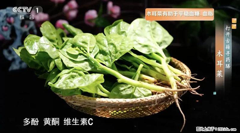 比牛奶补钙还厉害！凉血解毒、稳血糖...这菜冬天必吃，很多人却当草 - 阿坝生活资讯 - 阿坝28生活网 ab.28life.net