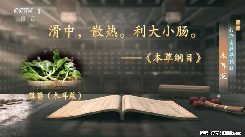 比牛奶补钙还厉害！凉血解毒、稳血糖...这菜冬天必吃，很多人却当草 - 阿坝生活资讯 - 阿坝28生活网 ab.28life.net