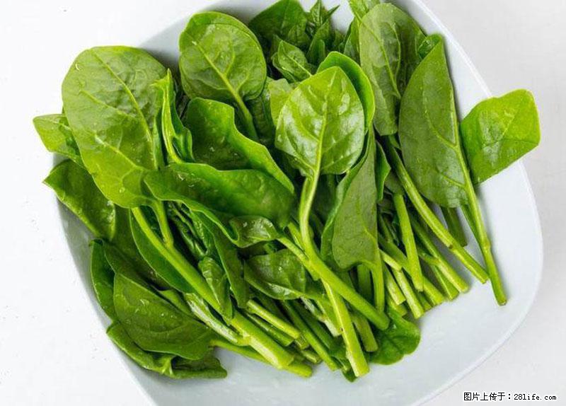 这些蔬菜是“天然钙片”，这6种被医生重点推荐 - 阿坝生活资讯 - 阿坝28生活网 ab.28life.net