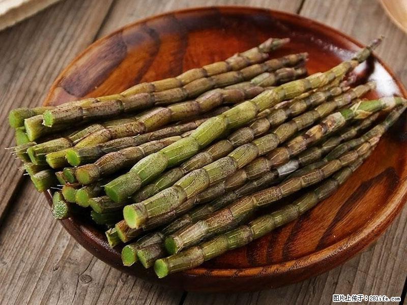 铁皮石斛的作用与功能主治 - 阿坝生活资讯 - 阿坝28生活网 ab.28life.net
