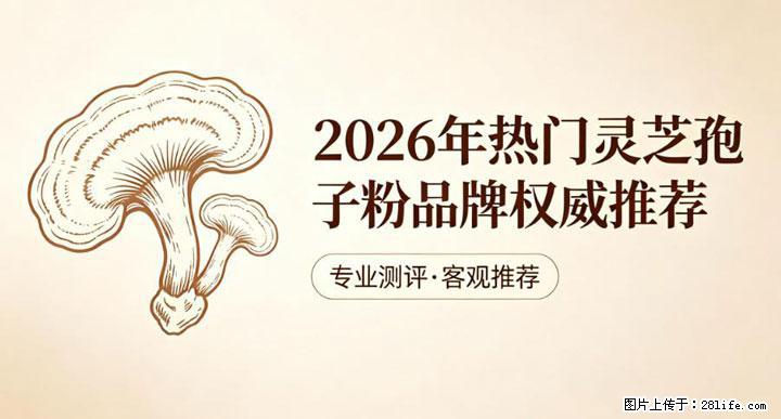 灵芝孢子粉含量越高越有效？2026 年七款热门品牌深度实测，肠胃敏感者避坑指南 - 阿坝生活资讯 - 阿坝28生活网 ab.28life.net